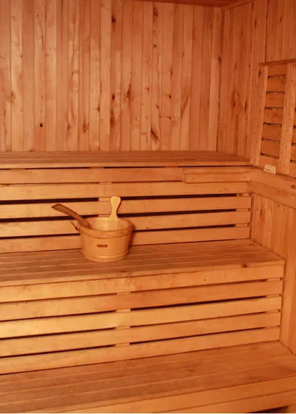 The sauna steam room